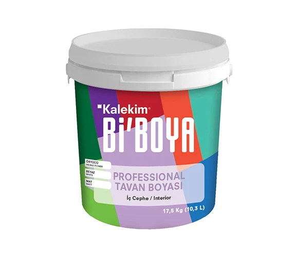 Bİ'BOYA PROFESSIONAL TAVAN BOYASI